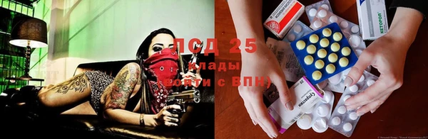 ПСИЛОЦИБИНОВЫЕ ГРИБЫ Коряжма