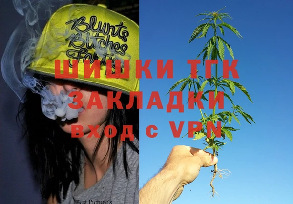 ПСИЛОЦИБИНОВЫЕ ГРИБЫ Коряжма