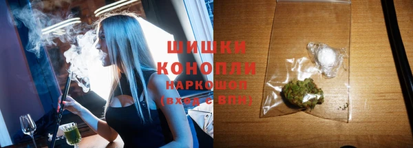 ПСИЛОЦИБИНОВЫЕ ГРИБЫ Коряжма
