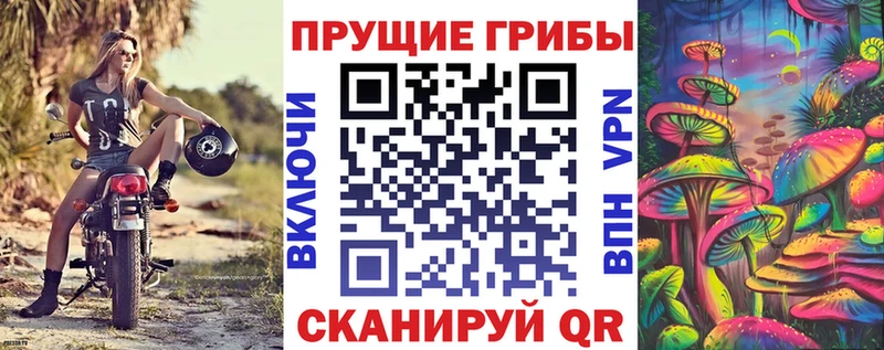 Купить  Анапа  Псилоцибиновые грибы Magic Shrooms 